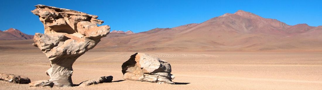 Árbol de Piedra en el Desierto de Siloli